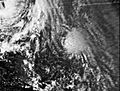 Irma 4 October 1978.jpg
