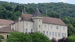 Jujurieux - Château de la Tour-des-Echelles (1-2014) 2014-06-28 12.32.40.jpg