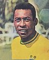 Panini pele photo only