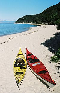 Archivo:Plastic Sea Kayaks