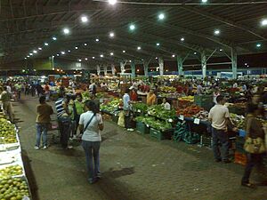 Archivo:Plaza de Ferias Alajuela de noche