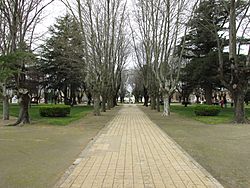 Plaza de Vela - panoramio.jpg