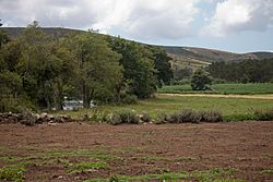 Ponte Olveira e Olveiroa - Olveiroa - Dumbría - Galiza-2.jpg