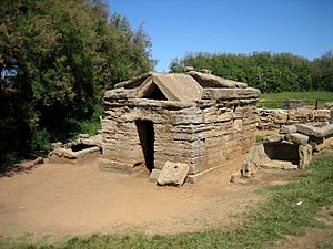 Archivo:Populonia Necropoli di San Cerbone Tomba