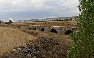 Archivo:Puente Largo de Bárcena sobre río Odra. Castrojeriz-BU (4)