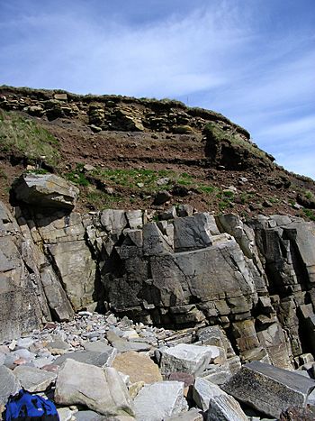 Archivo:Rockhead at Sandside Bay, Caithness, Scotland
