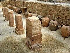 Roman villa of Las Musas, Arellano, Navarre, Spain 20