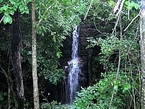 Archivo:Salto Piroy.Mbatovi Paraguay