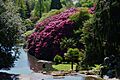 Sheffield Park Garden01