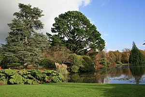 Archivo:Sheffield Park Gardens, Fletching, Sussex - geograph.org.uk - 1582535