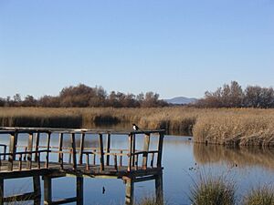 Archivo:TablasDeDaimiel2