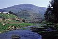Tulul adh-Dhahab and Jabbok in spring