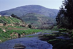 Tulul adh-Dhahab and Jabbok in spring.jpg