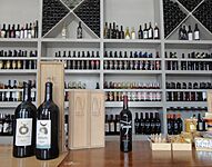 Vinos de Guanajuato - Museo del Vino (Dolores Hidalgo)