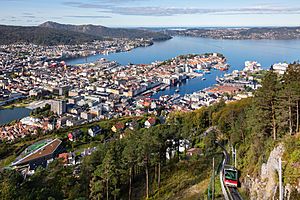 Archivo:Vista de Bergen desde la montaña Fløyen, Noruega, 2019-09-08, DD 48