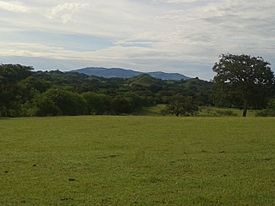 Vista del Canajagua desde Las Guabas.jpg