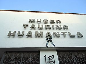 Archivo:Vista frontal de la entrada del Museo Taurino en Huamantla