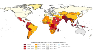 Archivo:2014, Estatura femenina promedio por país, Mapa del mundo