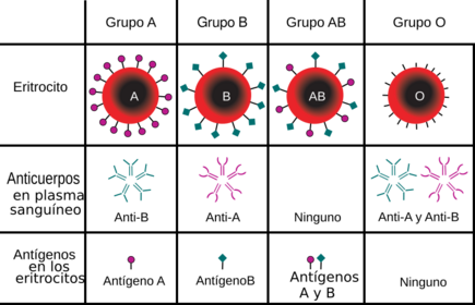 Archivo:ABO blood type-es