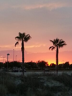 Archivo:Atardecer en Playa las Higuericas