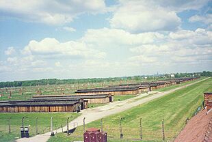 Archivo:Birkenau