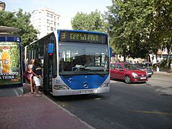 Archivo:Bus.Palma
