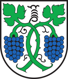 CHE Jenins COA