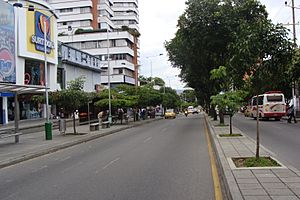 Archivo:Carrera 33 de Bucaramanga