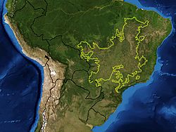 Norte de Sudamérica y límites de la sabana del Cerrado en amarillo.