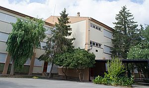 Archivo:Colegio Público de Educación Infantil y Educación Primaria Isidro Girant de Ayora