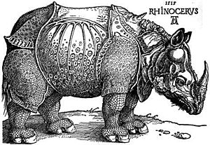 Archivo:Dürer - Rhinoceros