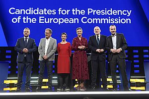 Archivo:Debate of lead candidates for the European Commission presidency (40894703423)