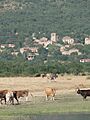 Derroñadas1