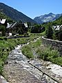 ES5130034-Rio Valarties-Arties-IMG 0833