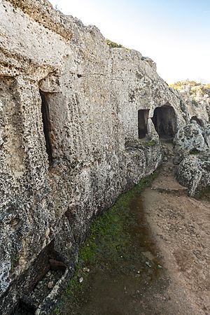Archivo:Façana cova 4