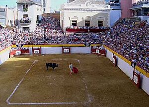 Archivo:Festejo taurino en la plaza de toros de Algemesí