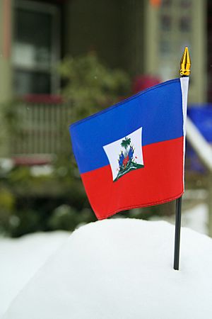 Archivo:Flag of Haiti in snow