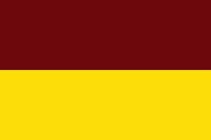 Archivo:Flag of Tolima
