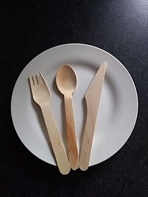 Archivo:Fork, knife and spoon made of bamboo on a plate