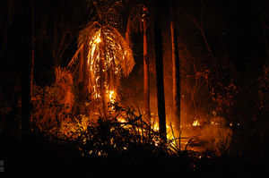 Archivo:Incendio en Ñembi Guasu