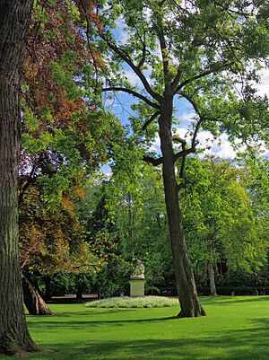 Archivo:Jardin du Luxembourg (34602255675)