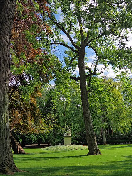 Jardin du Luxembourg (34602255675)