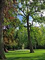 Jardin du Luxembourg (34602255675)