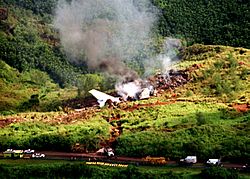 Archivo:Korean Airlines flight 801 crash site