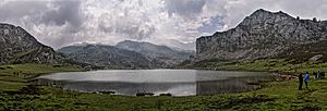 Archivo:LAGOS DE COVADONGA 2