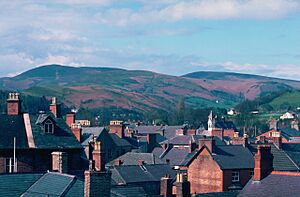 Archivo:Llangollen roofs