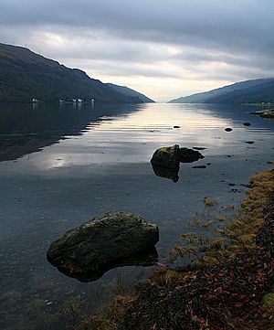 Archivo:LochLong(StevePartridge)Nov2007
