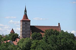 Archivo:Olsztyn-katedra