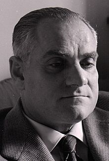 Paolo Monti - Servizio fotografico - BEIC 6361580 (cropped).jpg