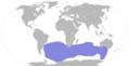 Phoebetria fusca map
